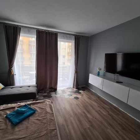 Garsoniera Zebra Apartment Брашов Екстериор снимка