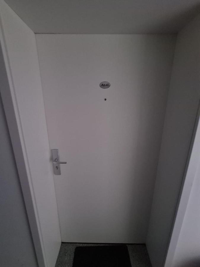 Garsoniera Zebra Apartment Брашов Екстериор снимка