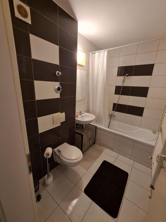 Garsoniera Zebra Apartment Брашов Екстериор снимка